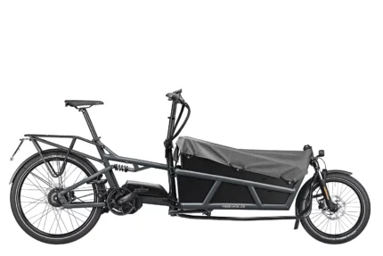 Lastenfahrrad Riese & Müller LOAD 75