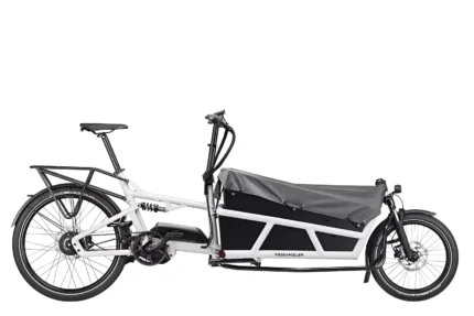 Lastenfahrrad Riese & Müller LOAD 75
